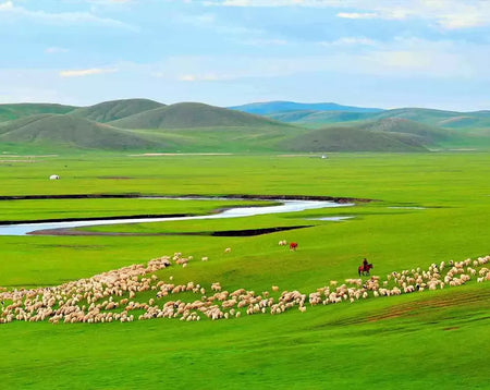 Hulunbuir