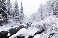 Jilin