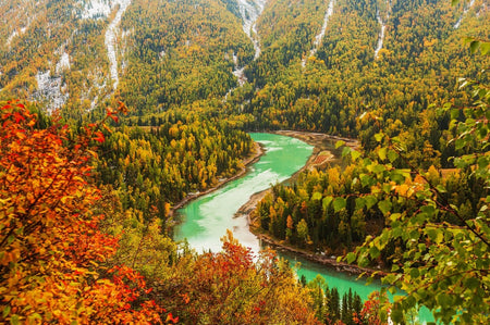 Forces of Nature