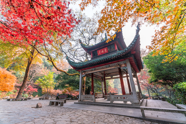Aiwan Pavilion Autumn Crimson Maple Trail
