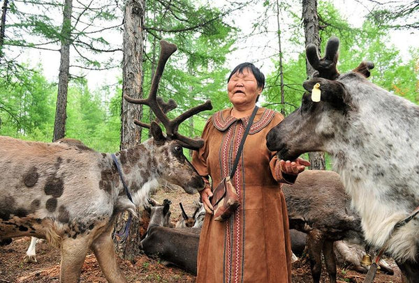 Aoluguya Reindeer Shamanic Settlement (Genhe)