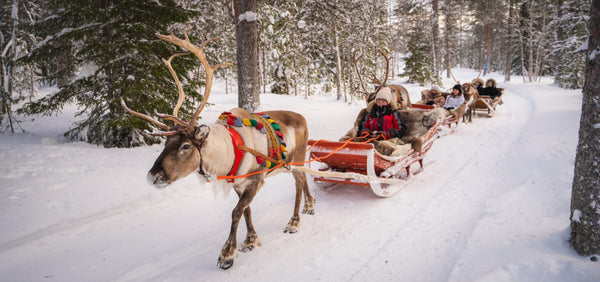 Arctic Village Reindeer Sleigh Express
