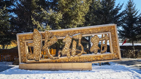 Arctic Village Stone Inscription Park