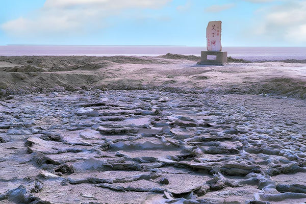 Aydingkol Lake Evaporated Salt Flats Depression Track