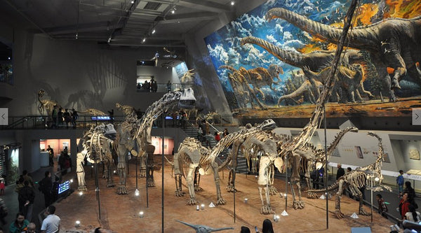 Beibei Museum