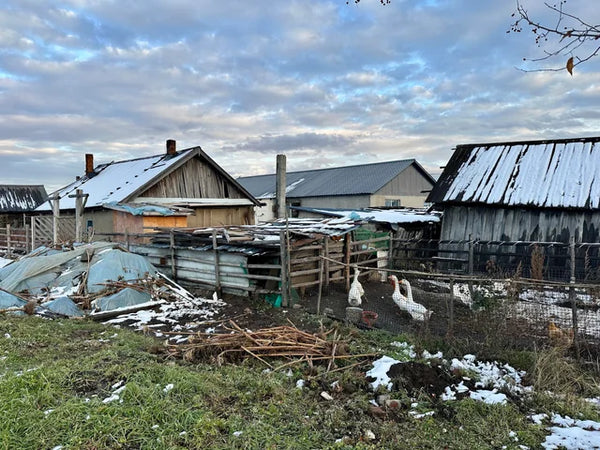 Beihong Village Border Settlement