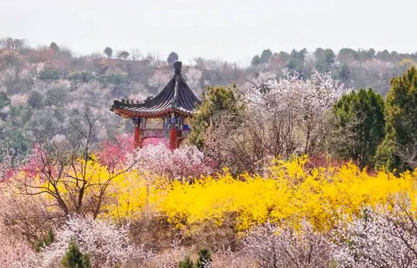 Beijing Xishan National Forest Park