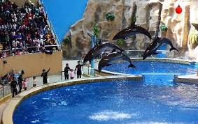 Beijing Zoo & Aquarium