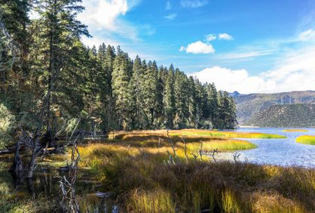 Bita Hai Lake Pristine Wetland Eco-Sanctuary Trail