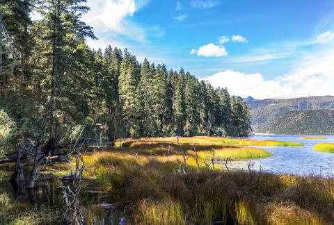 Bita Hai Lake Pristine Wetland Eco-Sanctuary Trail