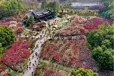 Century Park
