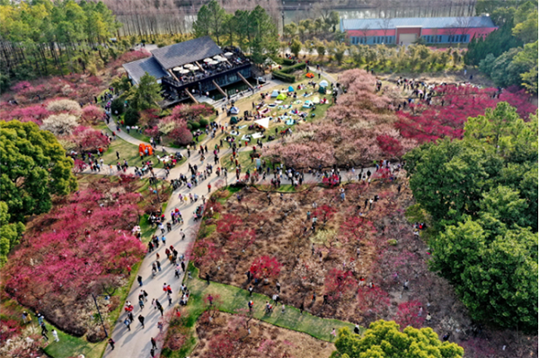 Century Park
