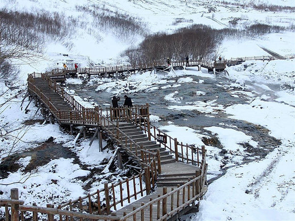Changbaishan West Slope Alpine Tundra Path