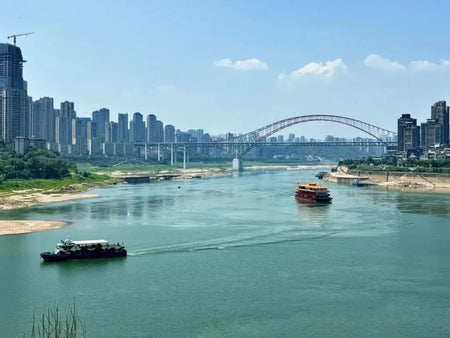 Chaotianmen Square (River Confluence)