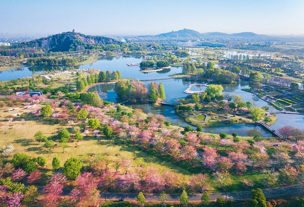Chenshan Botanical Garden