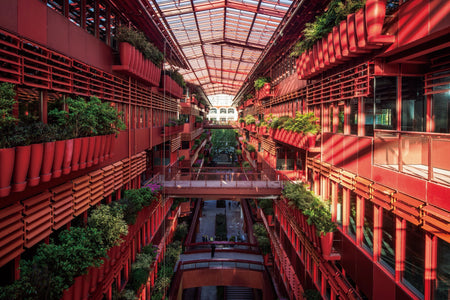 Cifi Lane (The Red Alley)
