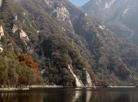 Cuihua Mountain (Landslide Geological Park)