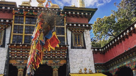 Dabao Temple Sacred Pine Forest Pilgrimage Meditation Circuit