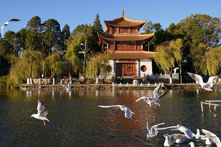 Daguan Park (Grand View Pavilion)