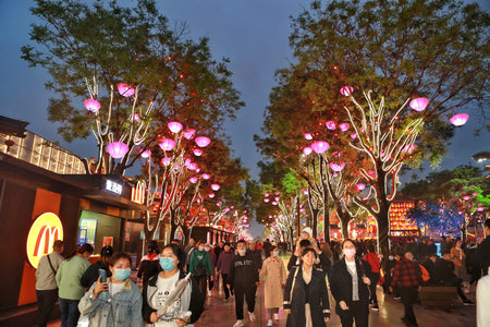 Datang Bu Ye Cheng (The Night City)
