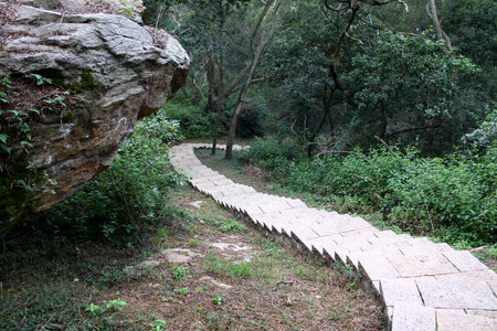 Doumen Lianshan Organic Tea Valley Trail