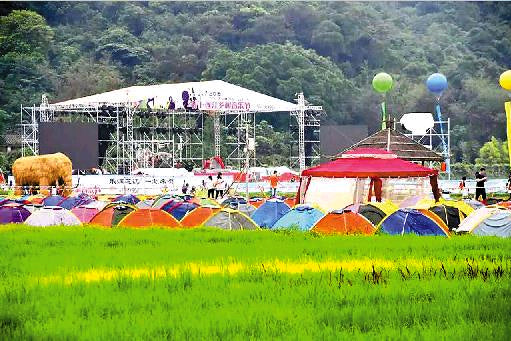 Doumen Jialian Royal Rice Field Parkway