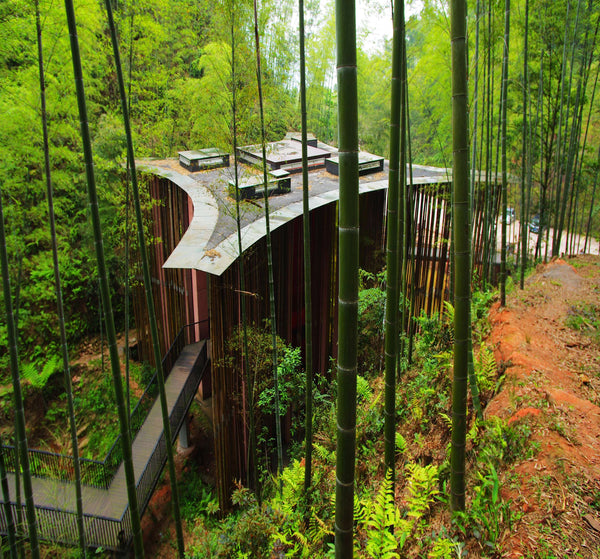 Doumen Jingshan Royal Bamboo Forest Loop