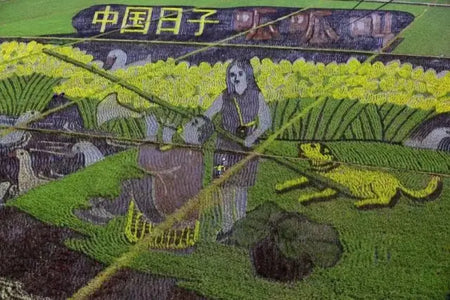 Doumen Lianshan Rice Paddy Craft Studio
