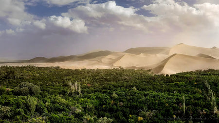 Dunhuang Gobi Oasis Grape Valley Walk