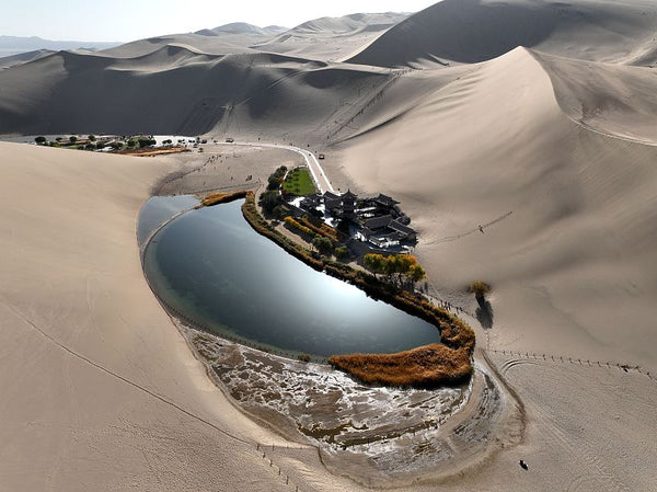 Dunhuang Oasis Agricultural Apricot Promenade