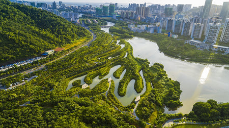 EADG Sanya River Mangrove Boardwalk