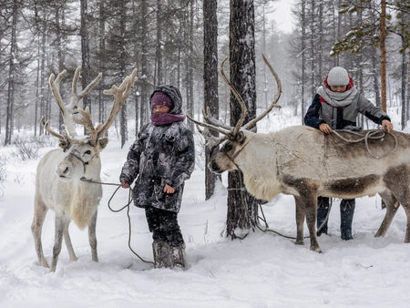Ewenki Nomadic Reindeer Campsite