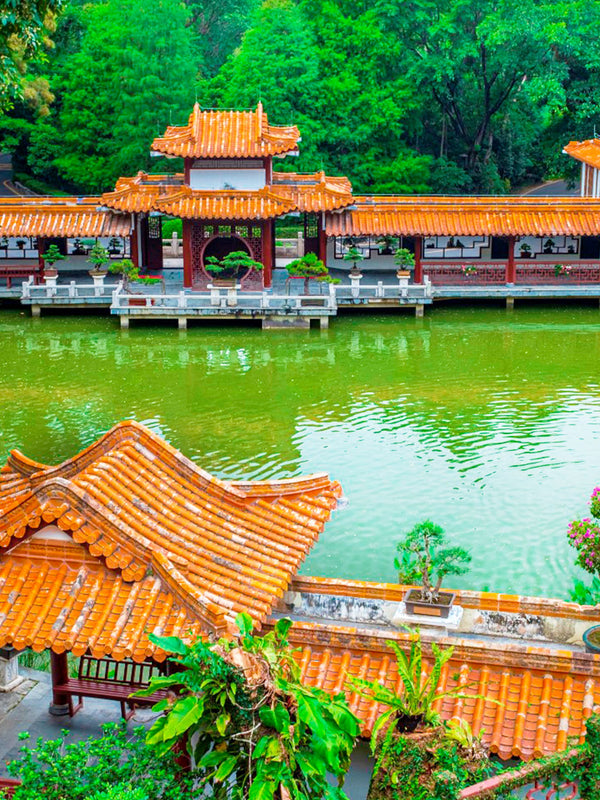 Fairy Lake Botanical Garden