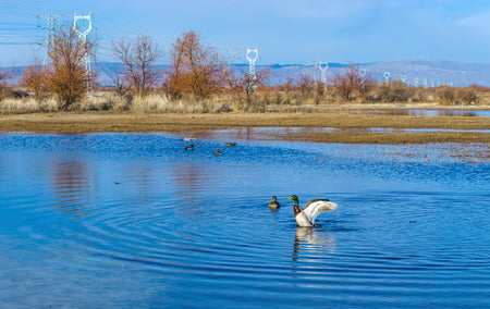 Fuhai Bird-Watching Wetland Park