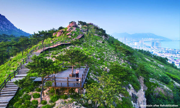 Fushan Mountain Eco-Ridge Skyline Boardwalk