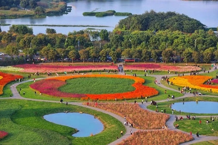 Gongbei Liangxi River Desert Wetland Preservation Loop