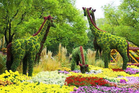 Gongqing Forest Park