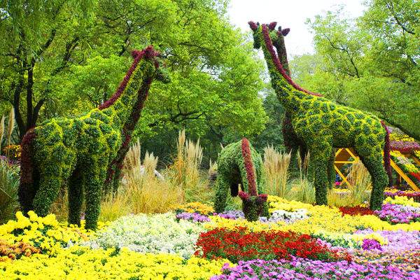 Gongqing Forest Park
