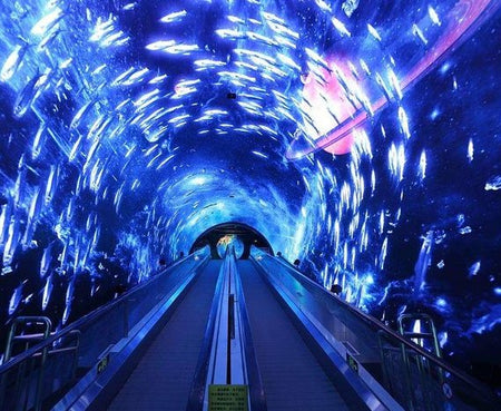 Grandview Aquarium