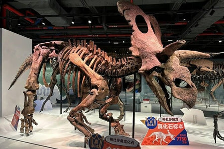 Grandview Nature Museum