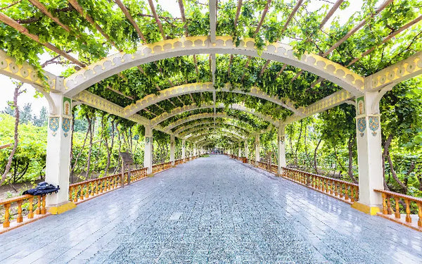 Grape Valley Manor Uyghur Intangible Folk Conservatory