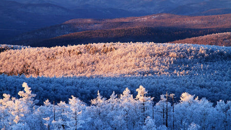 Greater Khingan Range Forest Boardwalk