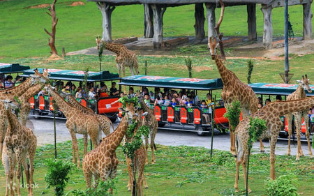 Guangzhou Zoo
