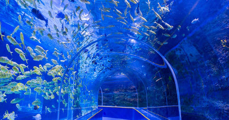 Guanlan Ocean World