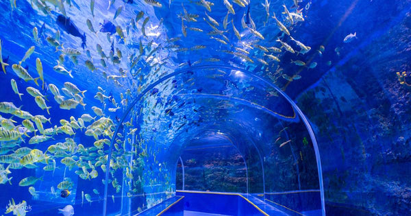 Guanlan Ocean World