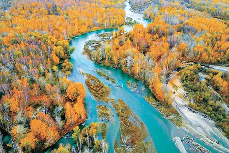 Haba River Birch Forest River Walk