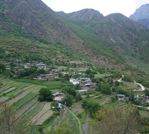 Haba Village Traditional Naxi Eco-Agriculture Farm Walk