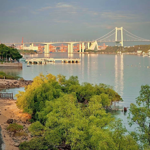 Haicang Bay Park Promenade & Cross-Sea Bridge Vista