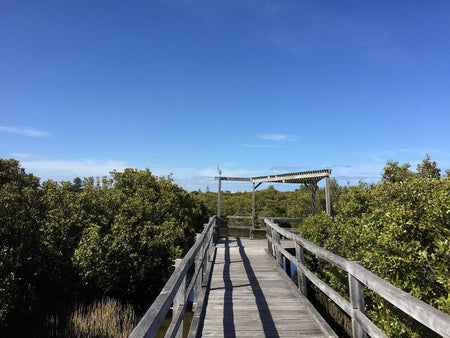 Haitang Bay Mangrove Riverside Boardwalk