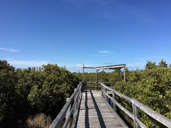Haitang Bay Mangrove Riverside Boardwalk